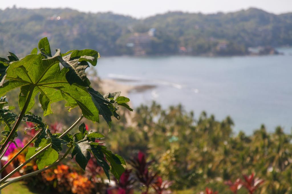 Casa Los Arcos Sayulita Bagian luar foto